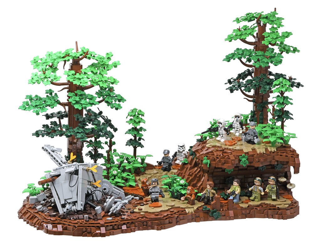 Winning macro shot showing clean focus and depth.